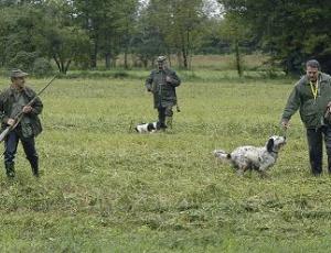 Caccia-cacciatori-con-cane.jpg