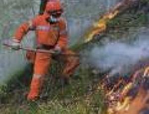 INCENDI BOSCHIVI2.jpg
