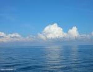 MARE.jpg