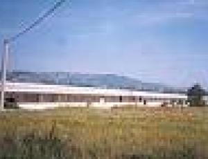 MERLONI GAIFANA.jpg