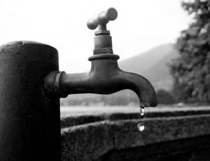 acqua-5.jpg