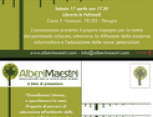 alberi maestri.png