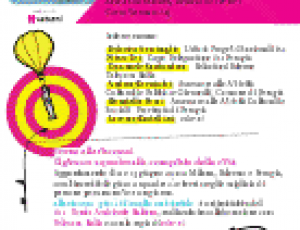 alla riscossa.png