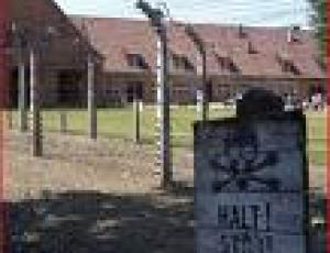 auschwitz2.jpg