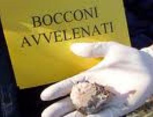 bocconi avvelenati.jpg