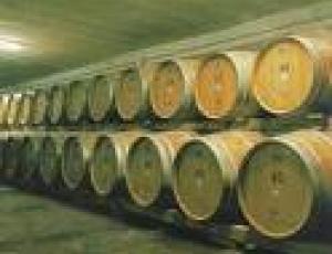 botti di vino.jpg