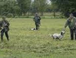 caccia.jpg