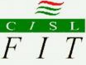 cisl fit.jpg