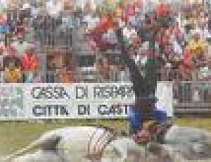 fiera cavallo.jpg