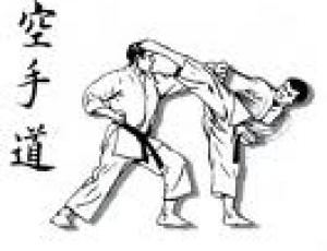 il karate.jpg