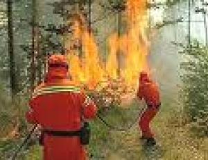 incendio bosco.jpg
