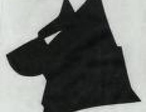 lupi-bufali.jpg