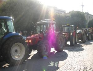 manifestazione allevatori.jpg