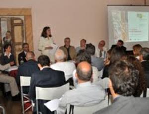 marini villa fabri.jpg