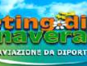 meeting primavera.jpg