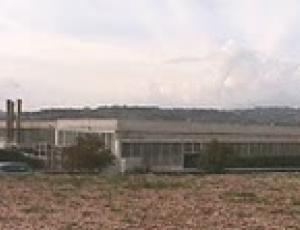 merloni colle.jpg