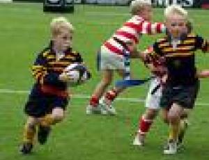 mini rugby.jpg