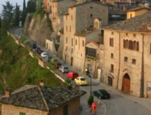 montone.jpg