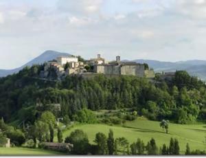 montone.jpg