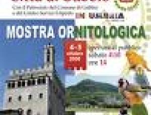 mostra ornitologica.jpg