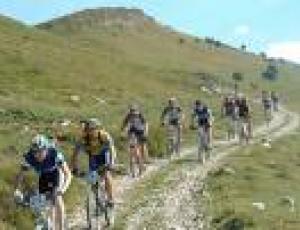 mountain bike2.jpg
