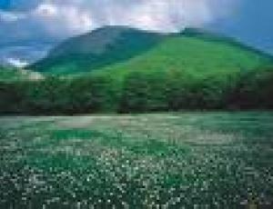 parco monte cucco.jpg