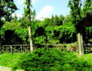 parco s.anna.jpg