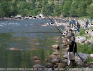 pesca2.gif