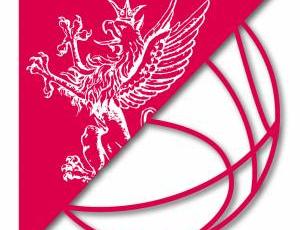 pgbasket-1.jpg