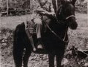 polizia prov. a cavallo.jpg