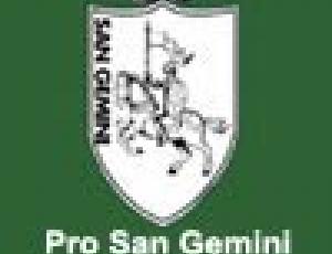 pro san gemini.jpg