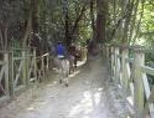 sentieri valnerina.jpg