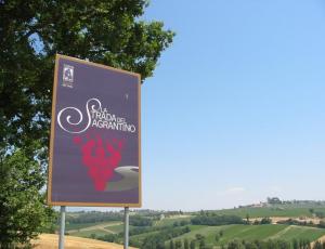 strada del sagrantino.jpg