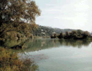 tevere scorcio.gif