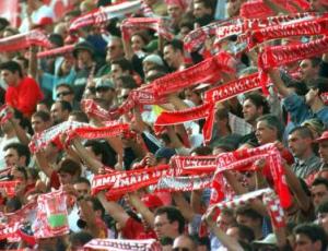 tifosi grifo.jpg