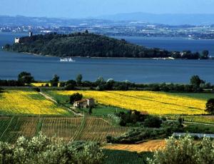 trasimeno.jpg