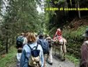 trekking someggiato.jpg