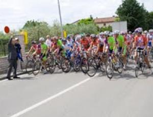 trofeo birra artenza.jpg