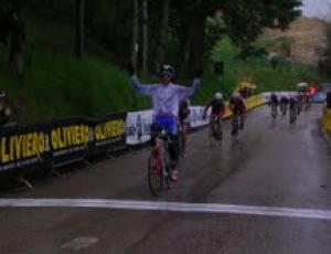 villa pitignano arrivo.jpg
