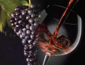 vino1.jpg