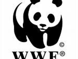 wwf.jpg