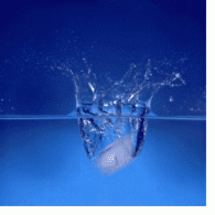 Acqua.gif