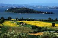 Lago Trasimeno 1.jpg