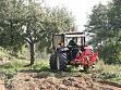 agricoltura.jpg