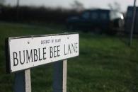 bumble_0.JPG