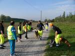 cani per ricerca.jpg