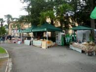 castiglione mercatino.jpg