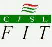 cisl fit.jpg