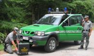 corpoforestale_nissan.jpg