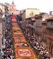 infiorata spello.jpg